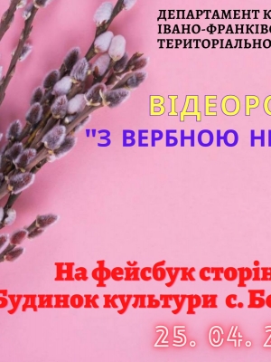 ВІДЕОРОЛИК З ВЕРБНОЮ НЕДІЛЕЮ